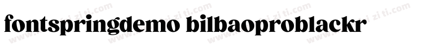 fontspringdemo bilbaoproblackregula字体转换